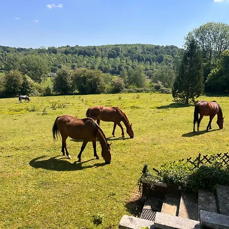 Manoir De La Martiniere * Saint-Germain-de-Livet